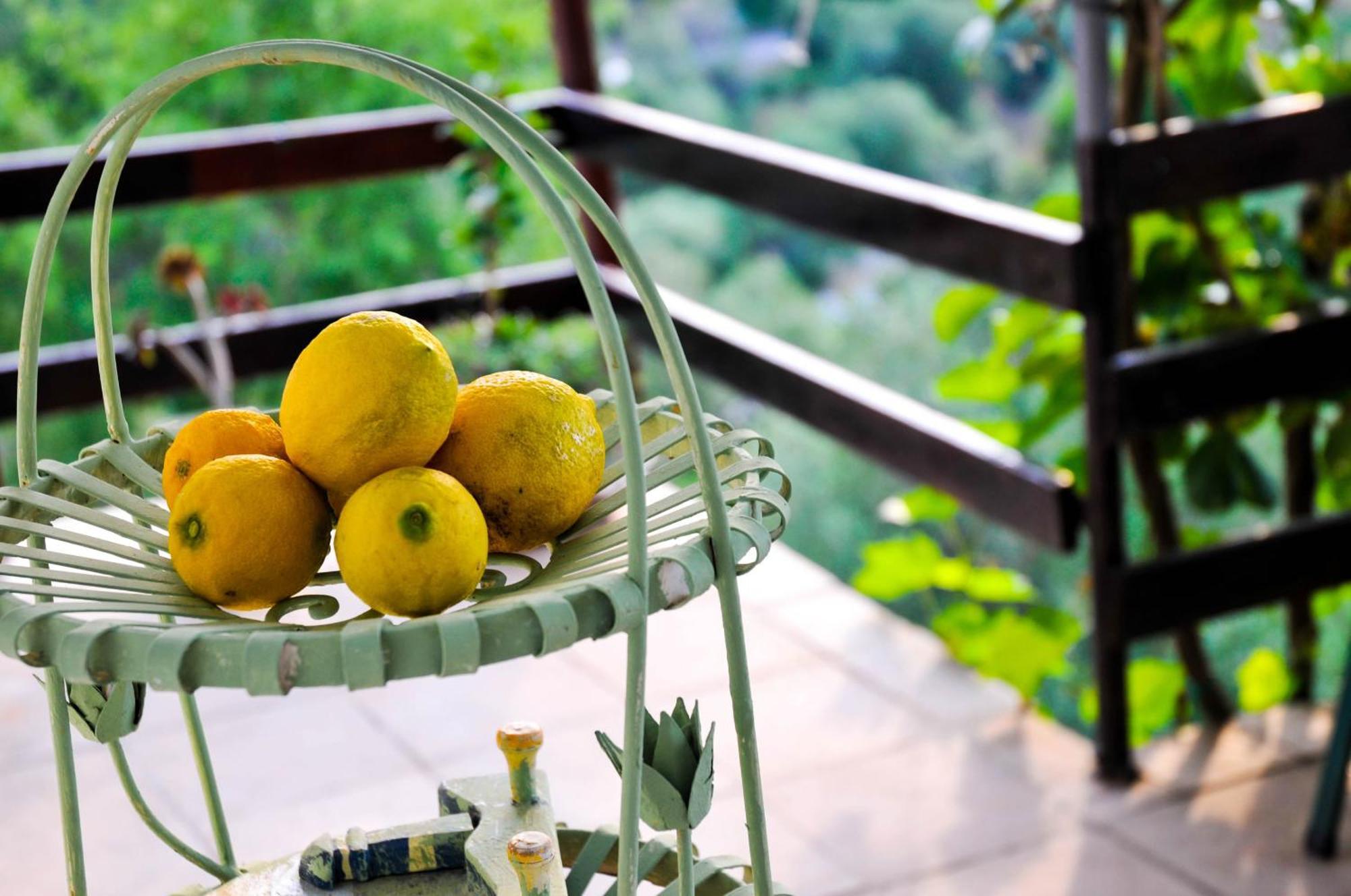 Bellavista Peljesac Peninsula Bed and Breakfast Dubrava  Δωμάτιο φωτογραφία
