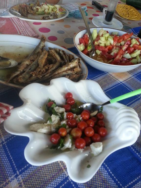 Bellavista Peljesac Peninsula Bed and Breakfast Dubrava  Εξωτερικό φωτογραφία